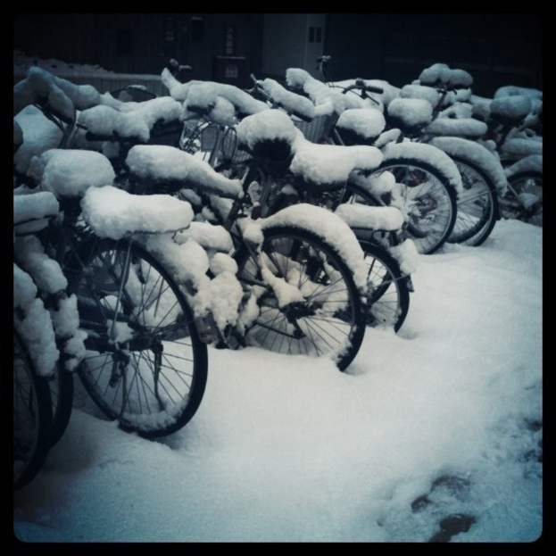 Fahrr"ader mit Schnee bedeckt auf einem schneebedeckten Boden.