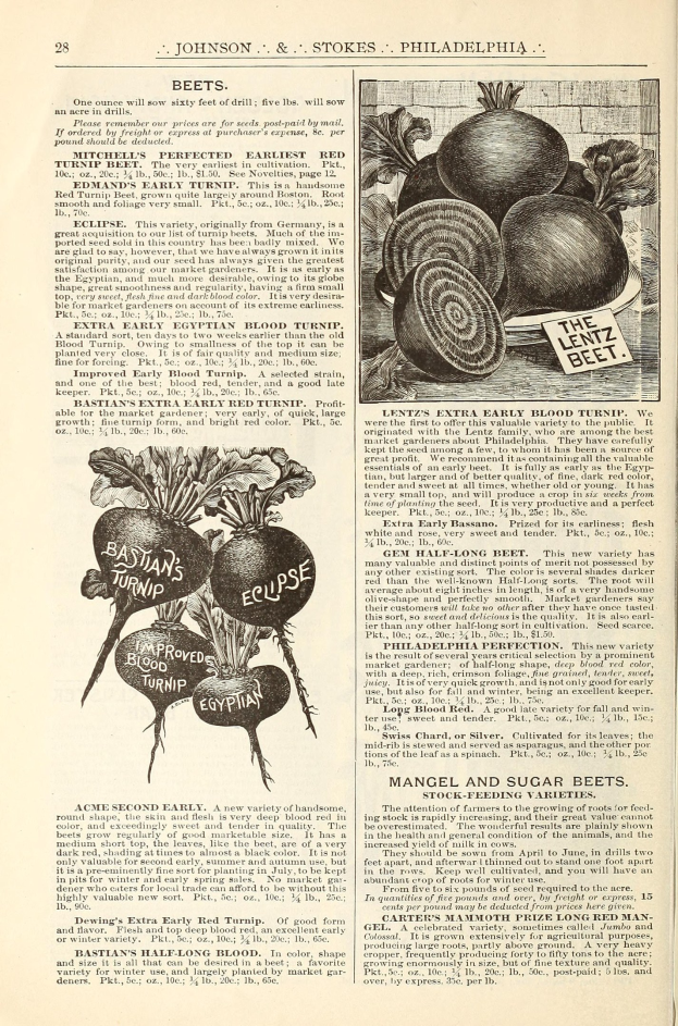 Offenes Buch mit Bildern und Text über Gemüse, einschließlich Rüben, auf der Seite angezeigt.