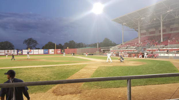 Jahn-Stadion: Stadtrat Entscheidet Zu Gunsten Des Baseball-Clubs 'Sly Dogs'