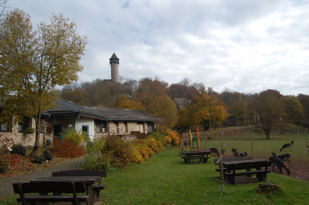 Hubertusfest in der Eifel: Erleben Sie die Wildtiere des Herbstes hautnah