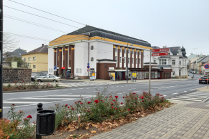 Eine Stadtstraße mit Autos, einer Zebrastreifen, Gebäuden, Schildern, einem Mülleimer, blühenden Pflanzen, trockenen Blättern, Bäumen und einem Himmel im Hintergrund.