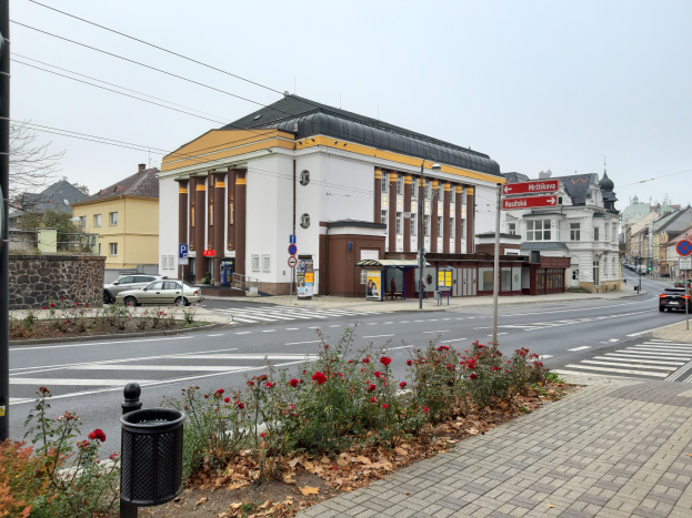 Eine Stadtstraße mit Autos, einer Zebrastreifen, Gebäuden, Schildern, einem Mülleimer, blühenden Pflanzen, trockenen Blättern, Bäumen und einem Himmel im Hintergrund.