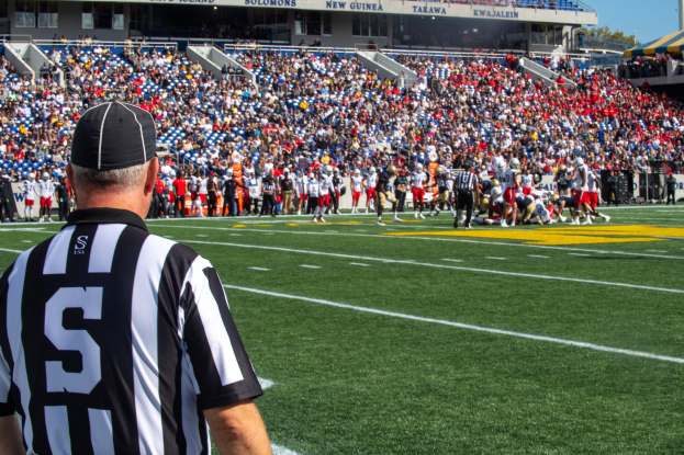 Referee standing on a football field near a crowd, with railings, text boards, poles, trees, and a clear blue sky in the background.