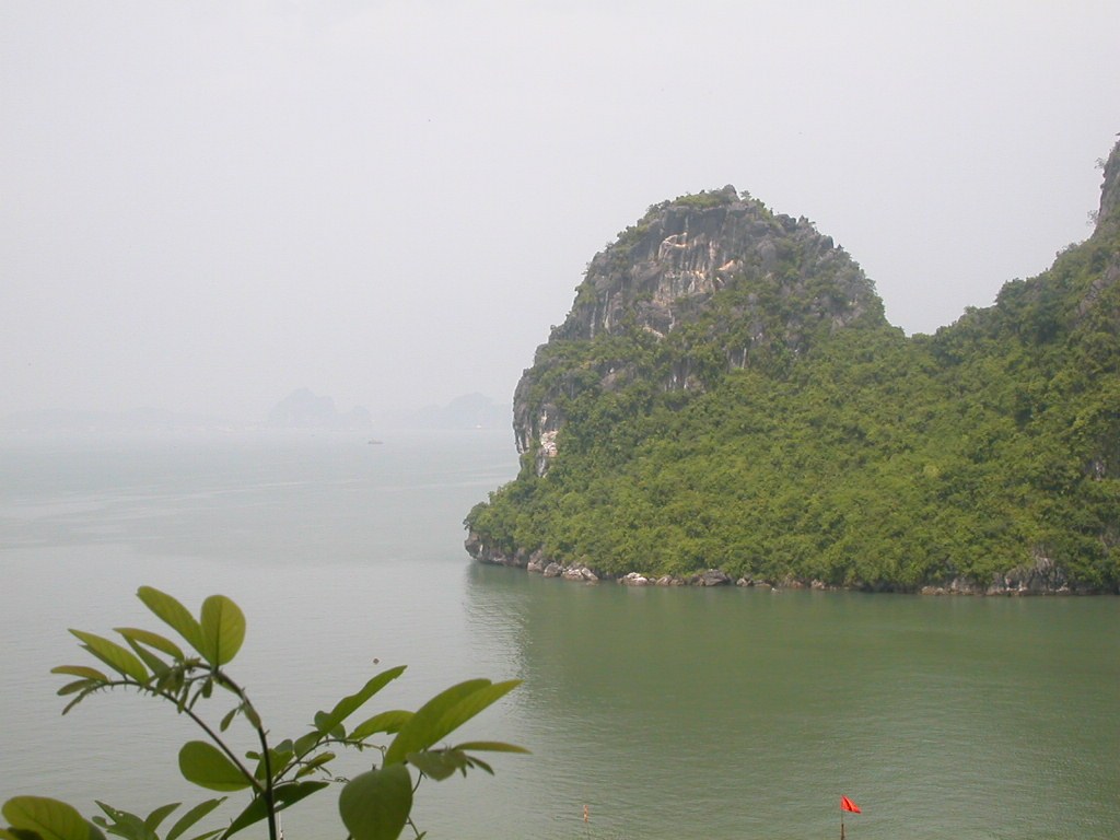 Kleine Insel mit saftig grünen Bäumen, umgeben von Wasser, hellem weißen Himmel und Pflanzen am Boden.