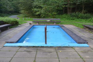 Kleiner Parkteich mit zentralem Pfahl, umgeben von B├Ąnken, Grünzeug, Stra├če und B├Ąumen.