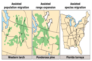 Eine Karte der Vereinigten Staaten, die verschiedene Arten der geförderten Bevölkerungsmigration hervorhebt, begleitet von informativem Text.