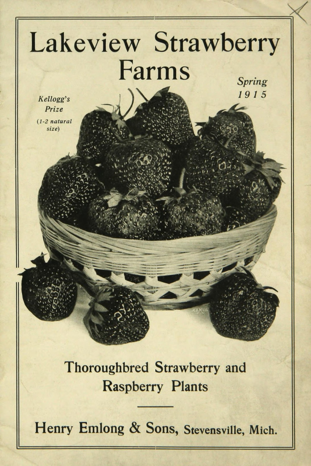 Plakat aus dem Frühling 1915, das Lakeview Erdbeerfarmen bewirbt, zeigt einen Korb voller reifer roter Erdbeeren mit der Aufschrift "Zuchtstamm Erdbeeren und Himbeeren" darüber.