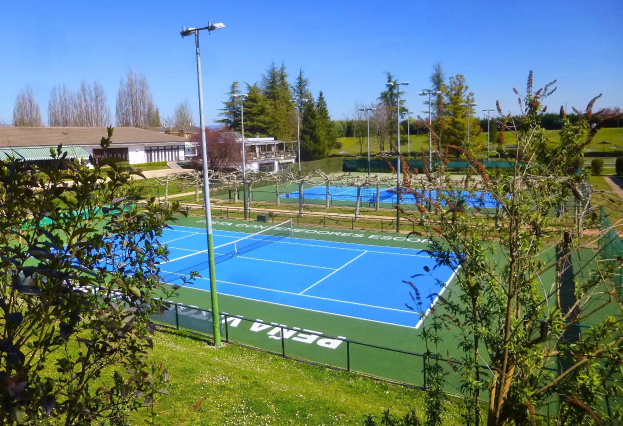Tennisplatz mit grünem Gras, B├Ąumen, einem Netz, Flutlichtmasten, Geb├Ąuden und einem klaren blauen Himmel.