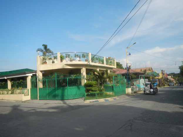 Straße mit Fahrzeugen, ein grünes Gebäude mit einem grünen Zaun, Geländern, Pflanzen, Bäumen, Polen, Lampen, Drähten, einer Flagge und einem bewölkten Himmel im Hintergrund.