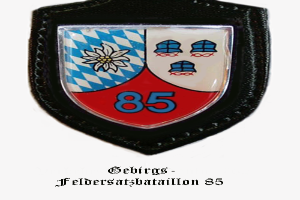 Ein Abzeichen mit der Zahl 85, dem Logo des bayerischen Fußballteams und deutschem Text unten.