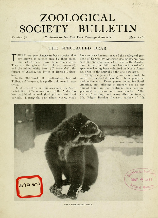 Schwarzes und weißes Foto eines Waschbären auf dem Cover eines zoologischen Vereinsbulletins mit Text.